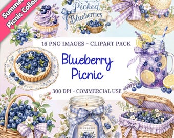 Blueberry picknick digitale clipartpakket, aquarel zomerfruit graphics, Cottagecore esthetische plakboek png's, instant download