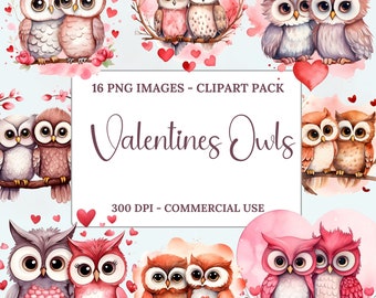 San Valentino Gufi Clipart Acquerello, Clipart per uso commerciale, PNG trasparenti, Clipart acquerello, Download istantaneo
