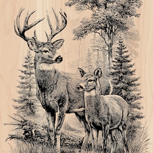 Deer Buck and Doe Laser Engraving File | Wildlife Wood Art | Glowforge xTool SVG PNG