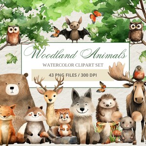 Woodland aquarel clipart, bos wezens PNG, bos vrienden kunst, Fox Bear herten uil, kinderkamer ontwerp, bosrijke baby shower decor