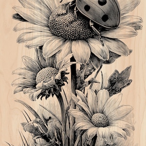 May include: Detailed black and white illustration of daisies and a ladybug. The ladybug is perched on a daisy, with other daisies and foliage in the foreground. The image has a vintage, botanical feel.