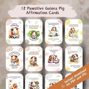 Affirmations uniques, citations sur la pleine conscience, animaux rigolos, affirmations d'animaux, mignons cochons d'Inde, lot de 12 cartes
