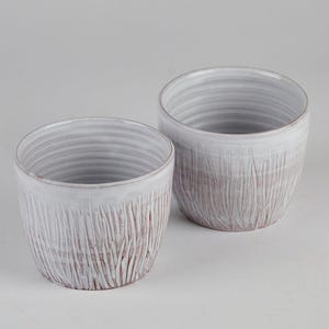Cappuccino Cup