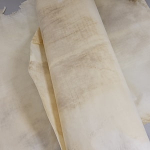 Natural Skin Parchment