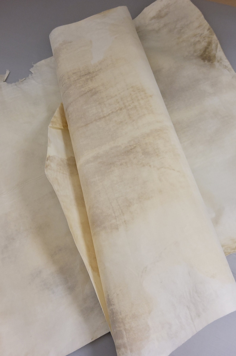 Natural Skin Parchment image 1