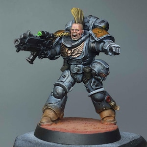 Warhammer40K : Space Wolves Lieutenant well painted