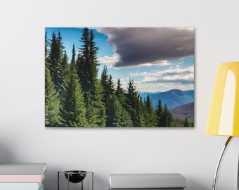 May include: A panoramic view of a lush forest with tall evergreen trees, a dark cloud in the sky, and a distant mountain range in the background.
