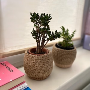 Peut inclure: Deux petites plantes succulentes en pot, habillées de housses en crochet texturé marron clair. Les plantes présentent des feuilles charnues vert foncé et sont placées à côté d'une pile de trois livres aux couvertures rose, blanche et bleue.