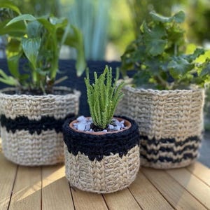 May include: Three woven plant pots with plants inside. The pots are made of a natural tan material with a black stripe or band. The plants have green leaves and are sitting on a wooden surface.
