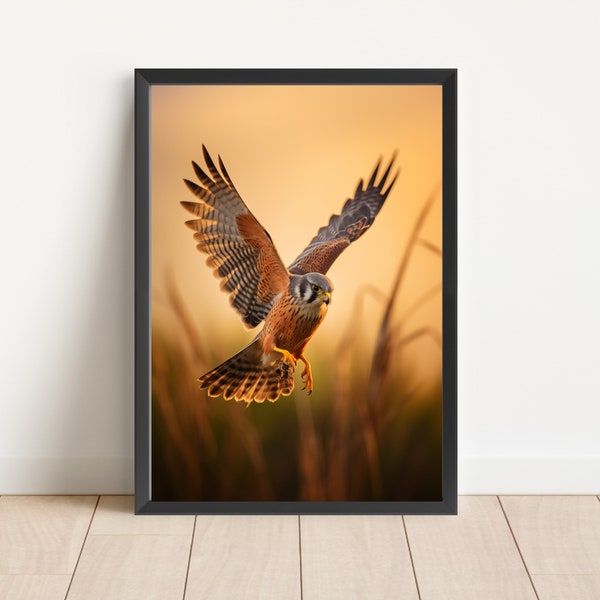 Framed Portrait Of A Kestrel Hunting At Dusk Art Poster