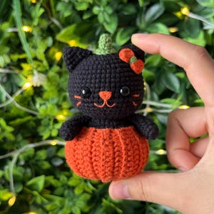 May include: A handmade crochet black cat with an orange pumpkin body. The cat has a green stem, orange bow, and a smiling orange mouth. The cat is held in front of a green leafy background.