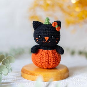 May include: A handmade black crochet cat with a green stem and orange bow, sitting inside an orange crochet pumpkin. The cat has a smiling face with orange whiskers. A unique Halloween decoration.
