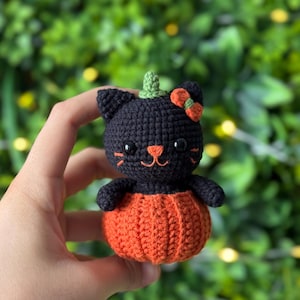 May include: A handmade crochet black cat in an orange pumpkin costume. The cat has a green stem, orange bow, and embroidered facial features. The Halloween-themed decoration is held against a blurred green background.