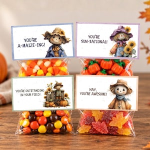 Op de afbeelding: Vier doorzichtige plastic traktatiezakjes gevuld met herfstachtig snoep. Elk zakje heeft een rechthoekige kartonnen topper met een vogelverschrikkerillustratie en de tekst: YOU'RE A-MAIZE-ING, YOU'RE SUN-SATIONAL, YOU'RE OUTSTANDING IN YOUR FIELD en HAY, YOU'RE AWESOME.