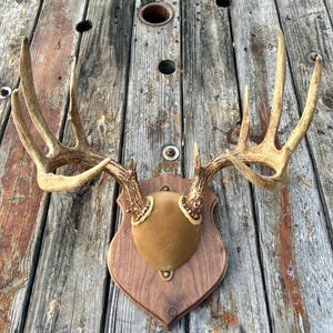 Deer Antler Mounting Plaque