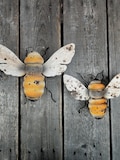 Rustic Metal Bee Wall Hanging Garden Decor Set of 2
