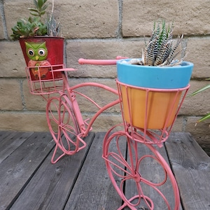 Bike Planter Farmhouse Table Top Flowerpot Garden Decor CHOOSE Color