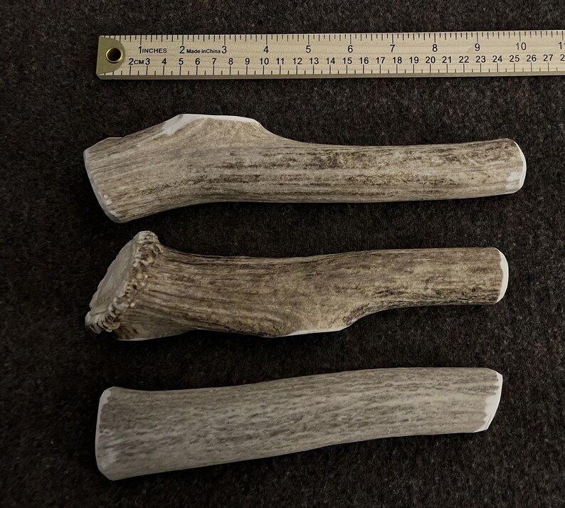 Bulk by the Pound Elk Antlers for Dogs Organic Antler Dog Chews Etsy