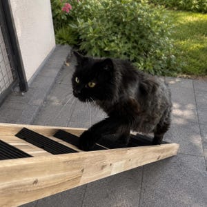 Scaletta per gatti in legno massello di alta qualità: resistente alle intemperie, modulare e antiscivolo.