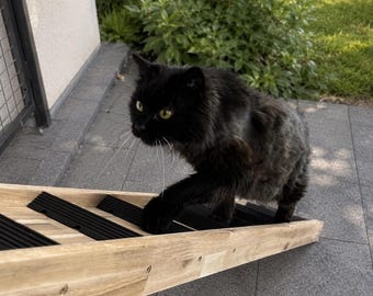 Escalera para gatos premium de 80 cm con extensión - Fabricada en madera maciza - Resistente a la intemperie, modular y antideslizante.