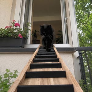 Può includere: Una lunga rampa in legno con gradini neri antiscivolo che conduce a una finestra aperta. Un gatto nero dal pelo folto si trova in cima alla rampa e guarda verso il basso. La rampa è costruita in legno chiaro e presenta gradini in tessuto nero.
