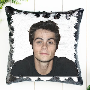 Almohada de lentejuelas DYLAN O&#39;BRIEN / Decoración del hogar / Funda de almohada y relleno / Almohada mágica decorativa / Regalo divertido