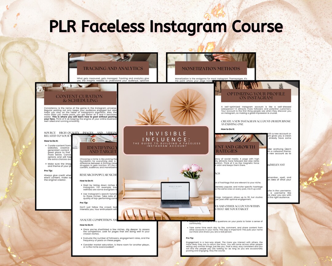 PLR Faceless Instagram Course, Instagram Marketing Course, Digital ...