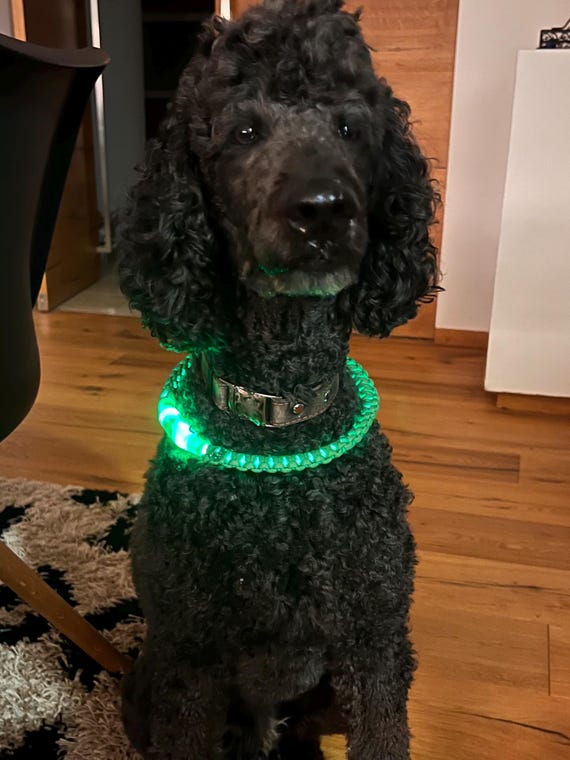 3 Modalità Luce Regolabile Collare Luminoso Per Cani Ricaricabile - LED Impermeabile Per Passeggiate Notturne | 3 Modalità Impermeabile Ipx7 - Foto 2