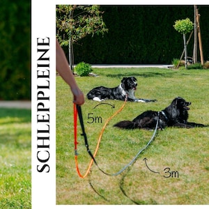 Pode incluir: Uma trela para cão laranja brilhante de 5m e uma trela cinzenta de 3m, ambas com clipes metálicos e pegas pretas. O texto SCHLEPPLEINE está impresso verticalmente no lado esquerdo. As trelas estão presas a dois cães na relva.