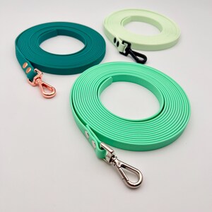 Guia longa de biothane, leve, com mosquetão, alça removível/fixa/sem alça de mão, 10 mm, 13 mm, 16 mm, para filhotes, cães de pequeno e grande porte, 3 m, 5 m, 7 m, 10 m, verde