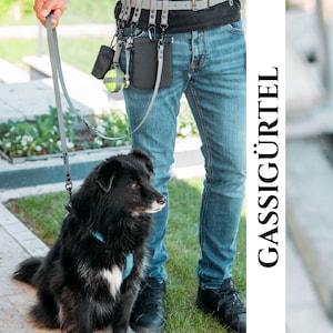 Gassigürtel Hundegürtel personalisiert verstellbar Dogwalker Canicross Hundesicherheit Zubehör handsfree modular Biothane Gurtband Anhänger