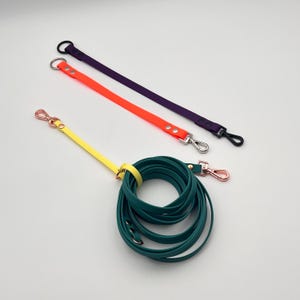 Può includere: Tre cinghie piatte con componenti metallici. Una cinghia viola con anello e clip neri, una cinghia arancione neon con anello e clip argentati e una cinghia gialla fissata a una cinghia verde ottanio arrotolata con clip e rivetti color oro rosa.