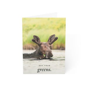 Eat Your Greens Card, Funny Moose Card, Vermont Moose Photo, Get Well or Just Because Note Cards