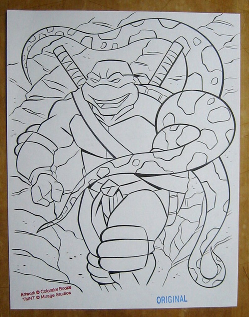 Original Teenage Mutant Ninja Turtles Coloring Book Art by Steve ...