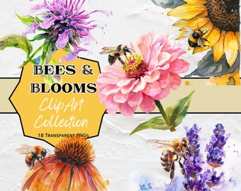 May include: A digital clip art collection of 18 watercolor illustrations featuring bees and flowers. The collection includes a sunflower, a pink zinnia, a purple coneflower, an orange coneflower, and lavender. The text "Bees & Blooms Clip Art Collection 18 Transparent PNGs" is displayed on a yellow background.
