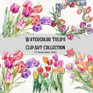 Tulip Clipart.  300 DPI, 17 PNGs, Instant Download, Transparent Backgrounds, Tulip Bouquets, Spring Tulip, Floral Clipart, Stickers, Journal