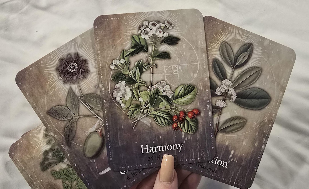 Magic Herb Oracle Cards, Herbal Oracle Deck, Green Witch Oracle ...