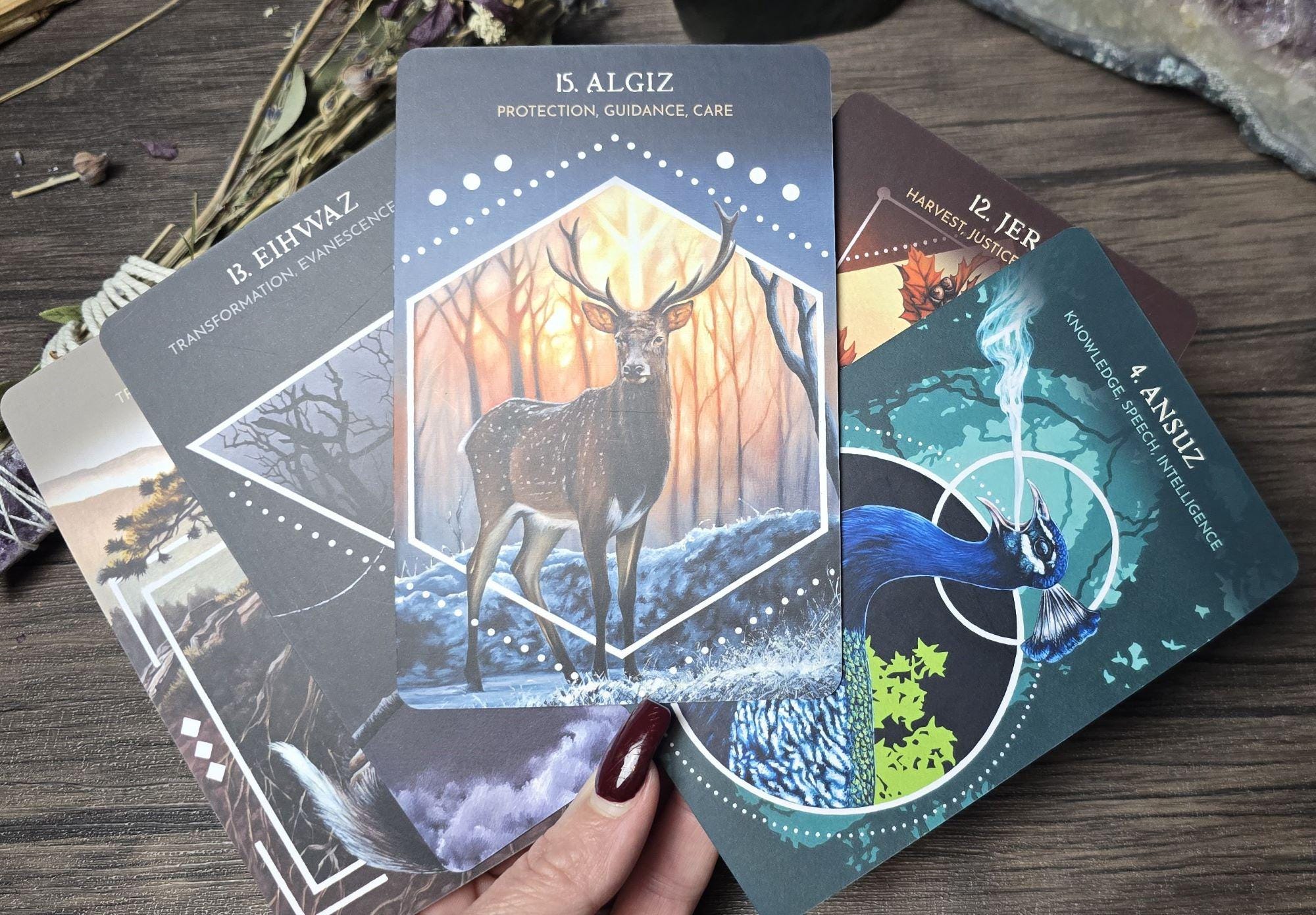 25 Animal Guide Rune Cards, Woodland Deck With Guidebook, Shamanic Rune ...