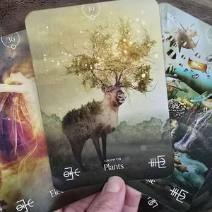 El Oráculo Elemental: Alquimia, Ciencia y Magia ~ Baraja de oráculo estética con guía, regalo pagano perfecto para ella