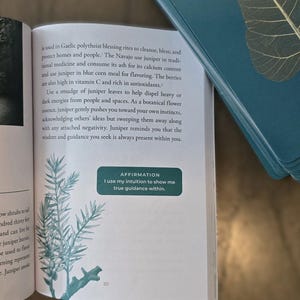 May include: A book open to a page about juniper, a type of evergreen tree. The page features a photo of juniper branches and text about its use in guidance and affirmation. The text reads "Guidance Juniper Juniperaz I use my intuition to access my true guidance within."