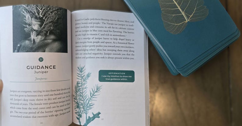 May include: A book open to a page about juniper, a type of evergreen tree. The page features a photo of juniper branches and text about its use in guidance and affirmation. The text reads "Guidance Juniper Juniperaz I use my intuition to access my true guidance within."