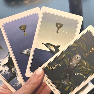 May include: Four tarot cards are fanned out, featuring illustrations of a chalice, mountains, a dolphin, and an otter. The cards have a cream border and a blue and gray color scheme. The card in the foreground is labeled "Page of Cups."