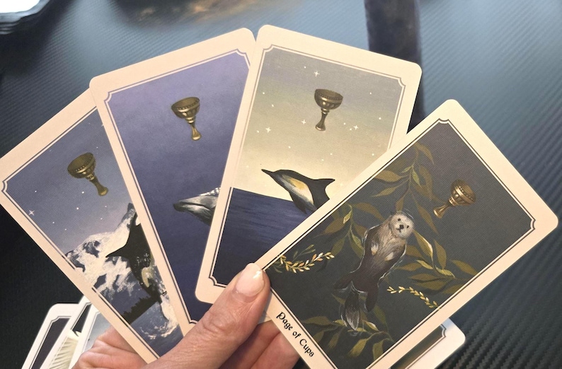 May include: Four tarot cards are fanned out, featuring illustrations of a chalice, mountains, a dolphin, and an otter. The cards have a cream border and a blue and gray color scheme. The card in the foreground is labeled "Page of Cups."