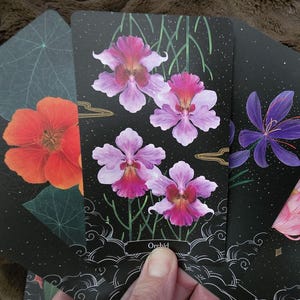 Oráculo "A Little Rain" (Primera edición limitada), Oráculo botánico encantador, Cartas de oráculo con flores oscuras, Oráculo de flores, Oráculo independiente (baraja y guía)