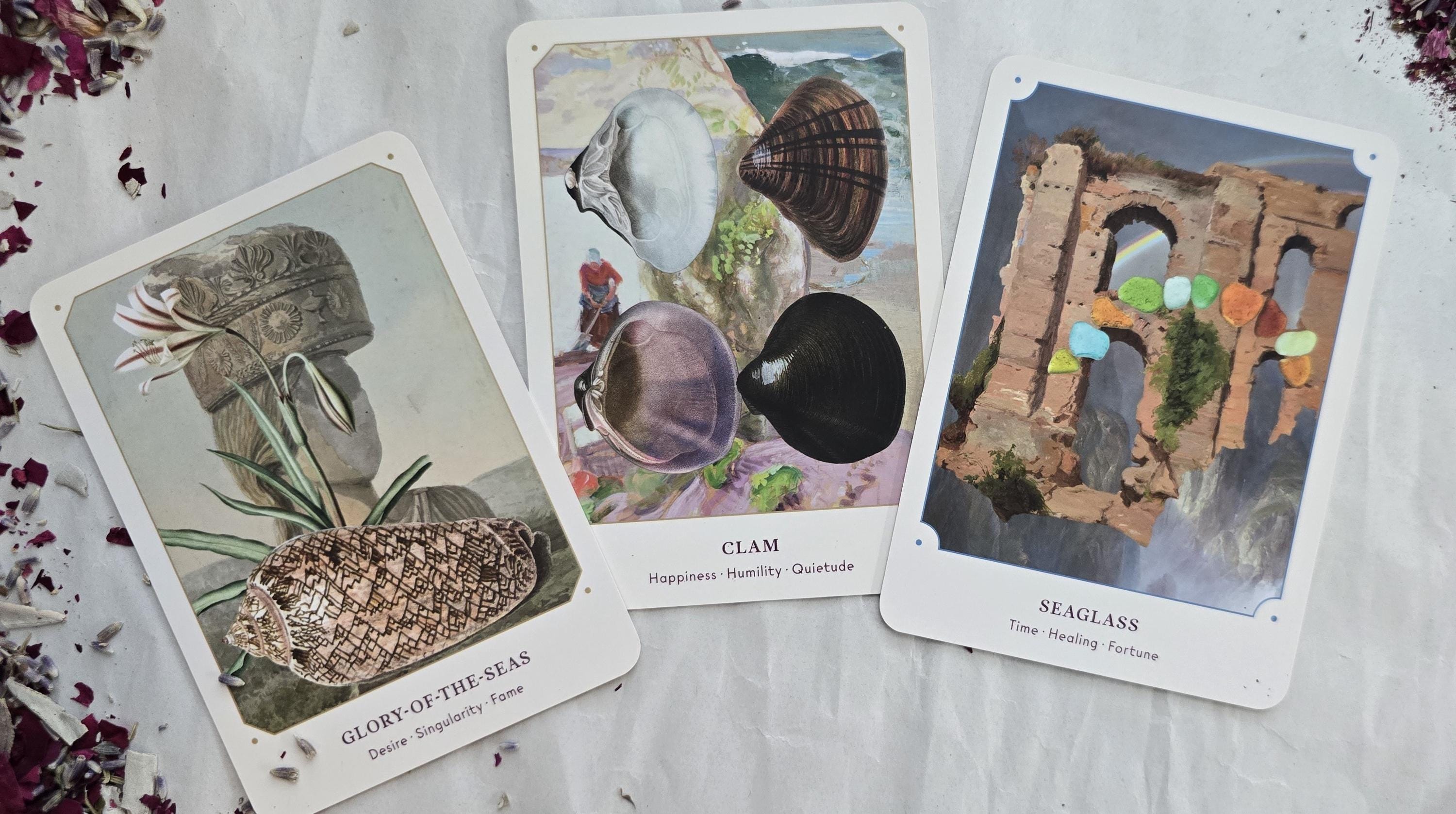 Seashell Oracle Deck - 44 Cards and Guidebook for Oceanic Divination ...