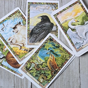 Baraja de Oráculo Druida de Animales / Edición Rueda Roja 2021 ~ Cartas de Oráculo Cottagecore, Baraja de Animales Espirituales, Baraja de Oráculo Celta, Oráculo de la Naturaleza, Oráculo Pagano