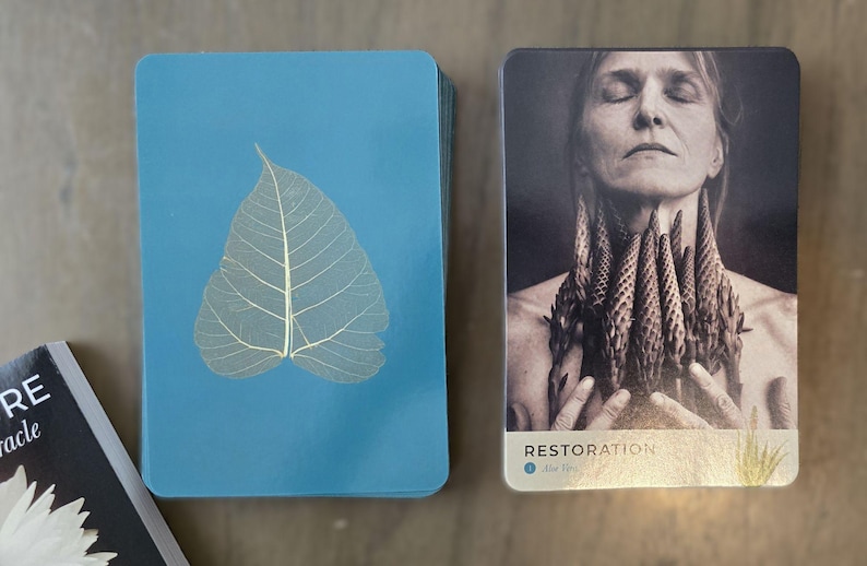May include: A blue card with a white leaf skeleton on it. The card is part of a deck of cards called "Restoration" with the number 6 on the bottom left corner. The card on the right is a close-up of a woman with her eyes closed, holding a bouquet of flowers to her chest.