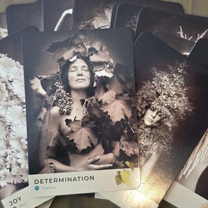May include: A set of cards with images of women and nature. The cards are arranged in a fan shape, with the top card showing a woman lying on a bed of leaves with the word "DETERMINATION" printed on the card.