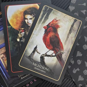The Halloween Oracle Deck - 36 Cards, Samhain Divination, Spooky Witchy Tarot Alternative Deck, Halloween Wiccan Gift, Mystical Oracle Deck