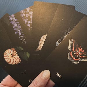 Nocturna Oracle Deck + Guidebook, Animal Oracle Deck, Indie Oracle Deck, Mystical Gift, Celestial Oracle Deck, Witchy Gift For Her, Wiccan